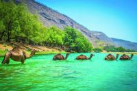 Oman Vision 2040 sets course for sustainable use of natural resources