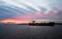 Press review: Russia-US gas deal riles Europe as Putin says no bombs on Ukraine vote day