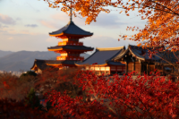 Best Places to Visit in 2027: Why Travel Advisors Recommend Japan