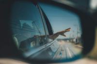 Signs Your Current Car Still Fits Your Lifestyle