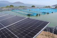 Let Africa have larger share of clean energy