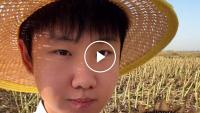 Why Chinese College Grads Are Becoming Farmers