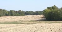 Farmers resist pipeline construction on their lands in western Kentucky