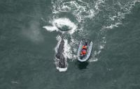 NOAA Fisheries introduces new West Coast gear rules to reduce entanglements
