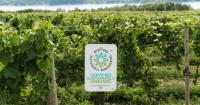 Wine & Grape Foundation adds 27 vineyards to sustainability program