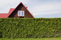 In England, a hedge's 'southernmost leaf' leaves an estate agent facing a $264,000 bill