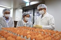 President urges firm response to false claims about Brazilian egg imports