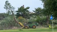 Judge Orders Trump Administration to Answer for Tree Removals at D.C. Golf Course