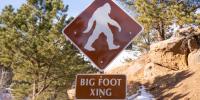 A Man Says He Found Bigfoot’s Dead Body in New York—and Has the DNA to Prove It