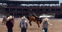Cheyenne approves annexation for future PRCA Hall of Fame, museum