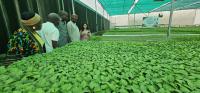 Nigeria advances rural roads, jobs and agricultural markets through RAAMP