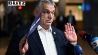 Hungary’s richest oligarch allegedly funneled $13.5 million into Orbán’s online propaganda network