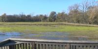 Drought could leave Arkansas duck hunting spots dry as season approaches