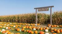 What agritourism means for New Hampshire
