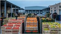 Inflation: Farm prices soar, industry holds steady