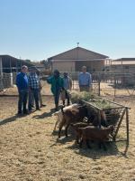 Namibia, USA vow to strengthen livestock breeding industry