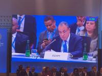 Egypt’s FM discusses food security, financing and regional cooperation in Bangkok