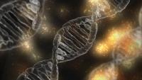 First Human Mobile Gene Found in Italy