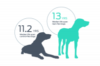 Landmark Purina Life Span Study Still Shapes Healthy Weight Conversations for Dogs