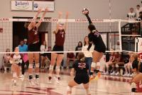 New Hope volleyball rallies from 2-set deficit to stun rival Caledonia, clinch state championship berth