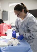 More Than Half of Kidney-Transport Audit Findings Came Outside the Initial Sample