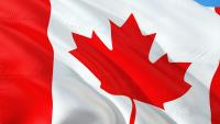 Spent fowl fraud persists as Canada works toward a fix