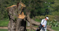 Federal Judge Yells at Trump Officials After 529 Trees Cut Down at D.C. Golf Course: ‘You Did Your Absolute Worst’