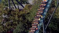 Atlanta man dies after falling from Georgia roller coaster