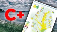 Bay gets best overall health score in 40 years, researchers say