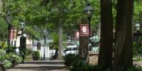 As costs rise, South Carolina targets obstacles facing transfer students