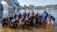 Tennessee Aquarium releases 500 juvenile sturgeon into Tennessee River at Coolidge Park