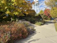 Vermont monarchs leave campus