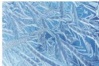Southeast Wyoming Expecting Freezing Temps This Week