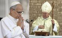 Apostolic Nuncio in Southern Africa Calls for Prayers for Successful Surgery of Pope Leo XIV
