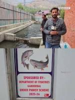 Fish farming opens jobs for Ganderbal youth