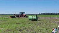 Fresh off the farm: St. Johns County backs program bringing locally grown food to area daycares
