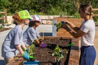 The Gardens at Texas A&M University opens experiential teaching garden