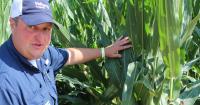 BASF introduces new products for weed control