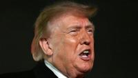Why Is the President Posting Videos of Animals Mauling People?