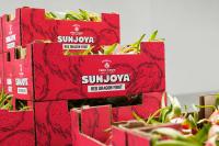 Tierra Suelta brings peak-season dragon fruit to fall and winter promotions