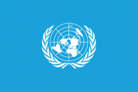 UN General Assembly adopts pandemic declaration, urges stronger global cooperation