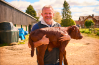 Spanish man who rescued two baby cows now battles authorities who want them slaughtered