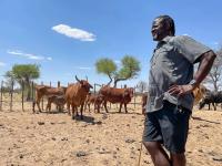 Namibia battles cattle disease outbreak as EU suspends several meat imports