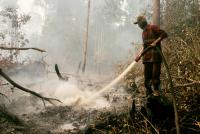 When disaster crosses borders, Indonesia’s credibility is tested twice