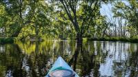Nestled Between Green Bay And Milwaukee Is A Nature Escape With Hiking, Wildlife, And Wetland Canoeing