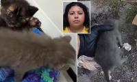 Florida woman buried kittens alive and claimed they'd been possessed by demons, cops say