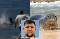 Hawaii monk seal attack suspect could walk free as court filings reveal outrageous new excuse