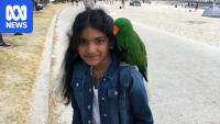 Warning signs missed before Melbourne girl's death in ED, coroner finds