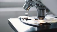 172 Husker undergrads receive stipends for research projects