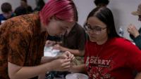 Classical Society teaches a hands-on lesson by cleaning ancient Roman coins